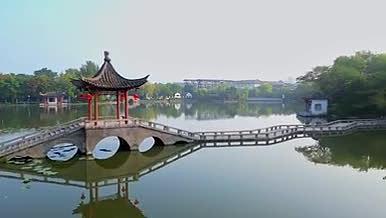 航拍城市公园勺湖景区视频的预览图